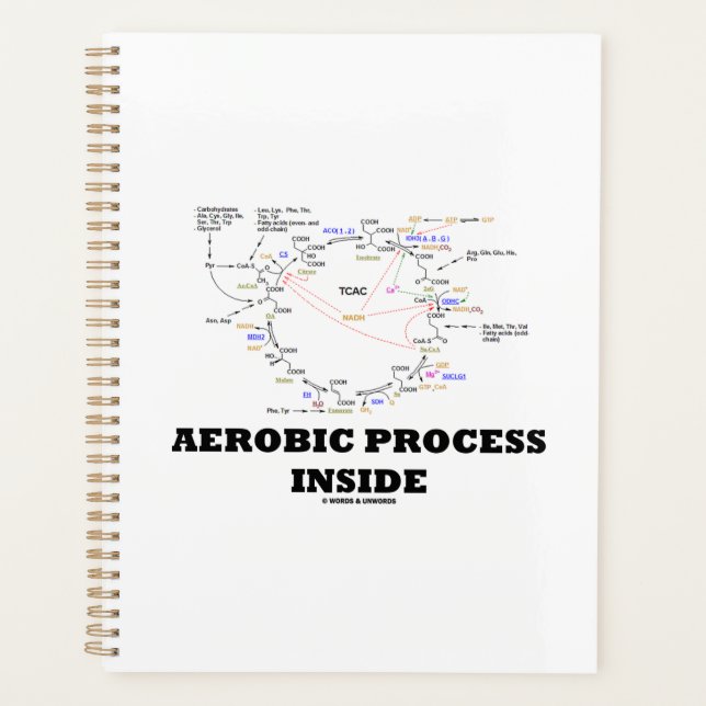 Aerobic Process Inside Krebs Cycle Geek Spaß Planer (Vorderseite)
