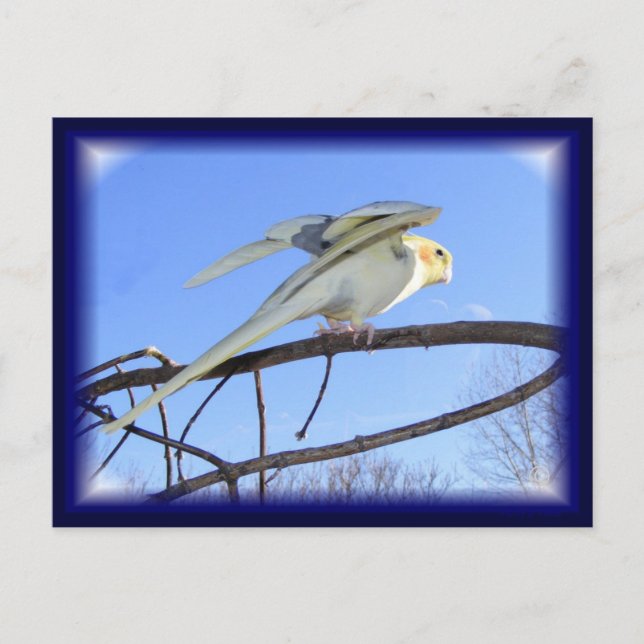 Aerodynamik-Postkarten Postkarte (Vorderseite)