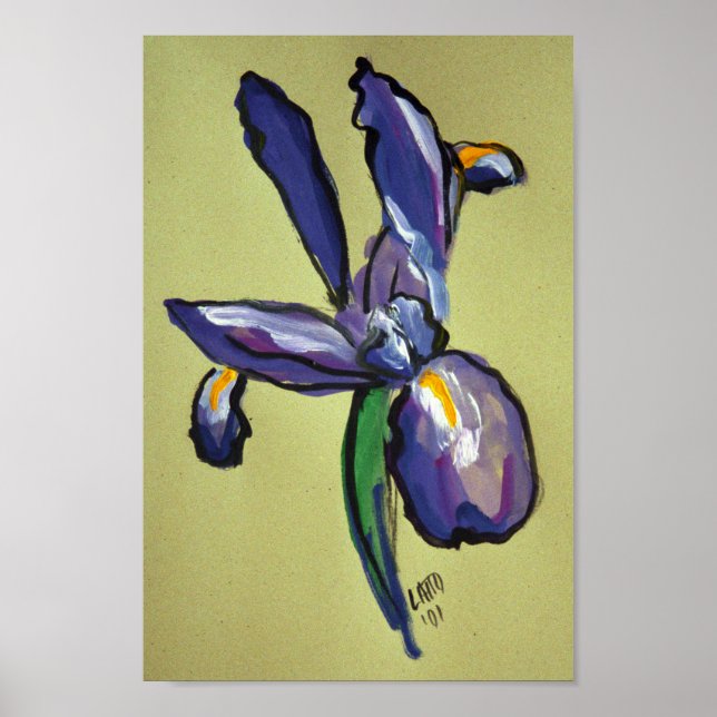 Aeronautical Iris Moderne Malerei Art Print Poster (Vorne)