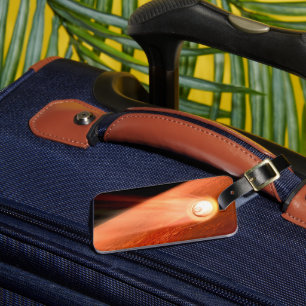 Aeroshell mit Dauerabstieg in die Mars Gepäckanhänger