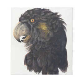 Aert Schouman Bird Head Notizblock