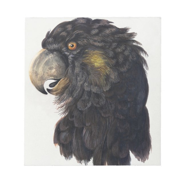 Aert Schouman Bird Head Notizblock (Vorderseite)