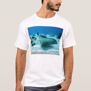 Aetobatus narinari (gepunkteter Adler-Strahl) T-Shirt