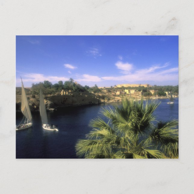 AF, Ägypten, Oberägypten, Assuan. River Nile, Postkarte (Vorderseite)