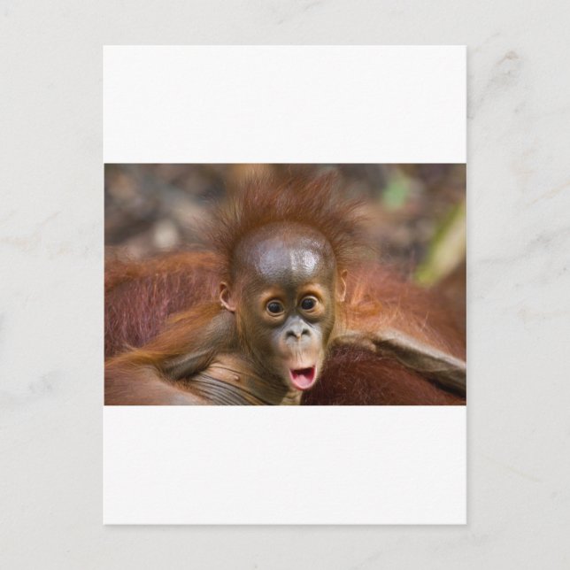 Affäre 1 postkarte (Vorderseite)