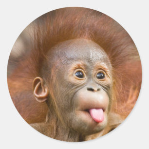 Affäre 2 runder aufkleber