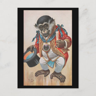 Affe angezogen - alte deutsche Postkarte