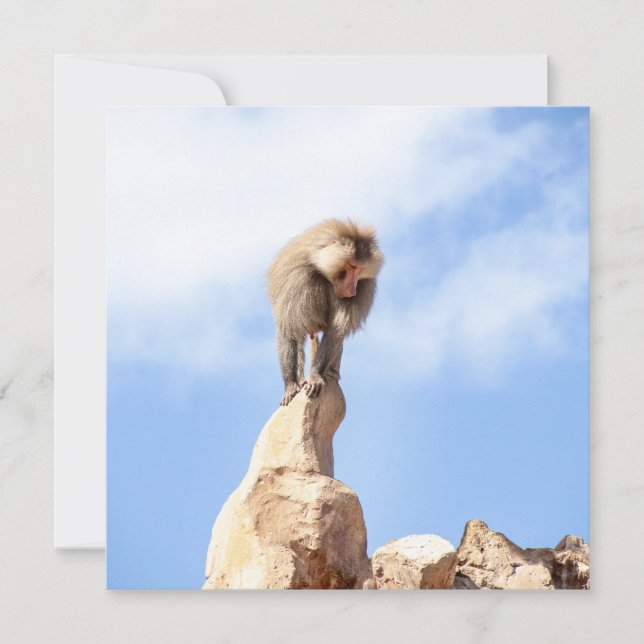 Affe Baboon auf einem Berg Feiertagskarte (Vorderseite)