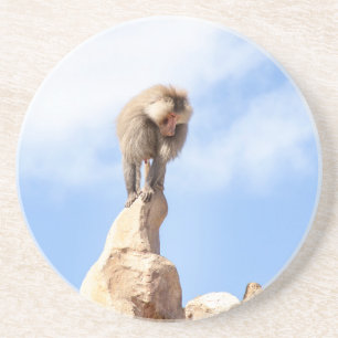 Affe Baboon auf einem Berg Getränkeuntersetzer