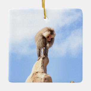 Affe Baboon auf einem Berg Keramikornament