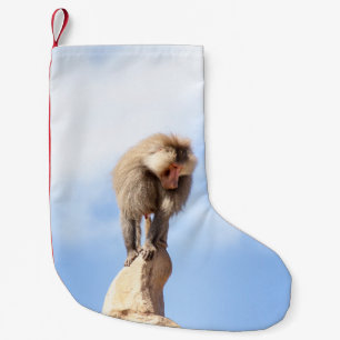 Affe Baboon auf einem Berg Kleiner Weihnachtsstrumpf