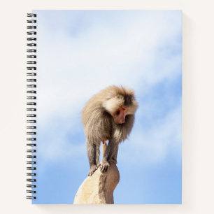 Affe Baboon auf einem Berg Notizbuch