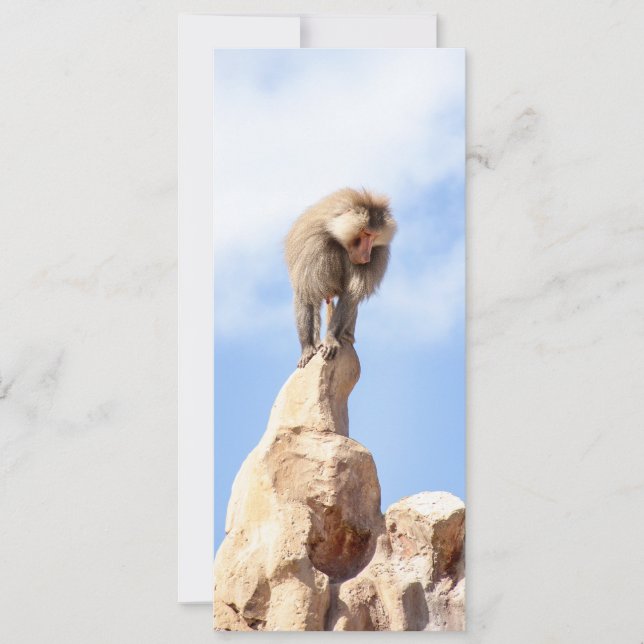 Affe Baboon auf einem Berg Save The Date (Vorderseite)