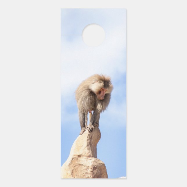Affe Baboon auf einem Berg Türanhänger (Vorderseite)