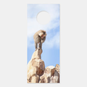 Affe Baboon auf einem Berg Türanhänger