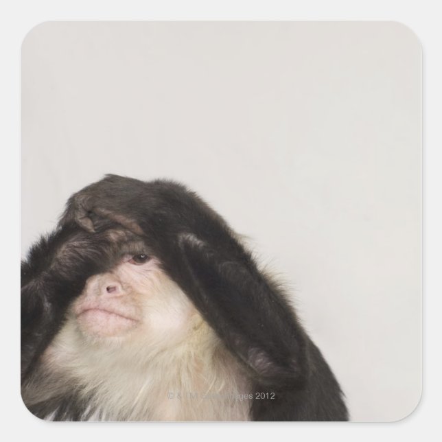 Affe bedeckt die Augen Quadratischer Aufkleber (Vorderseite)