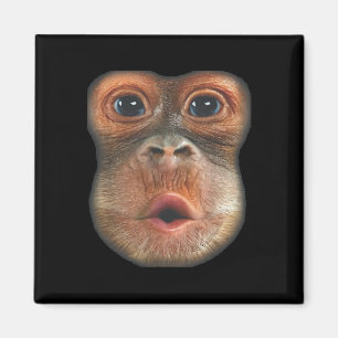 Affe bläst Bauch Gesicht Magnet