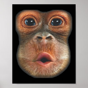 Affe bläst Bauch Gesicht Poster