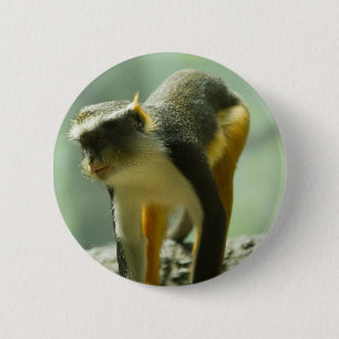 Affe Button