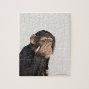 Affe, der sein Gesicht reibt Puzzle