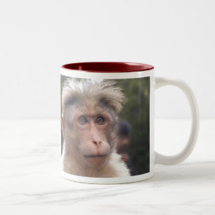 Affe, der Tasse schaut
