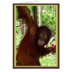 Affe für Wassermelone