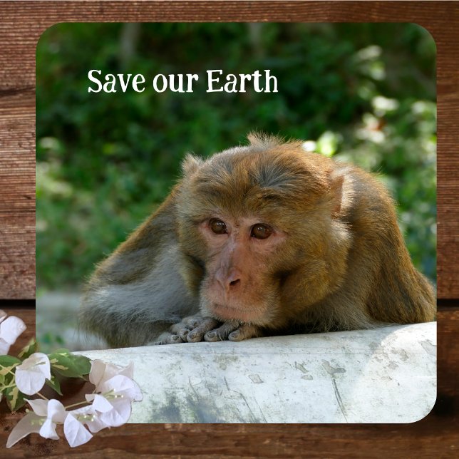 Affe - Großvater Getränkeuntersetzer (Von Creator hochgeladen)