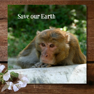 Affe - Großvater Glasuntersetzer