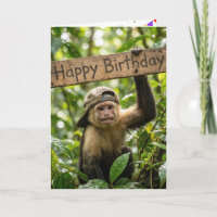 Affe hält ein Alles Gute zum Geburtstag-Schild