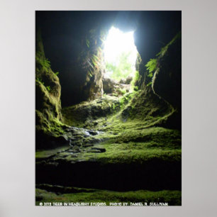 Affe höhlt WA aus Poster