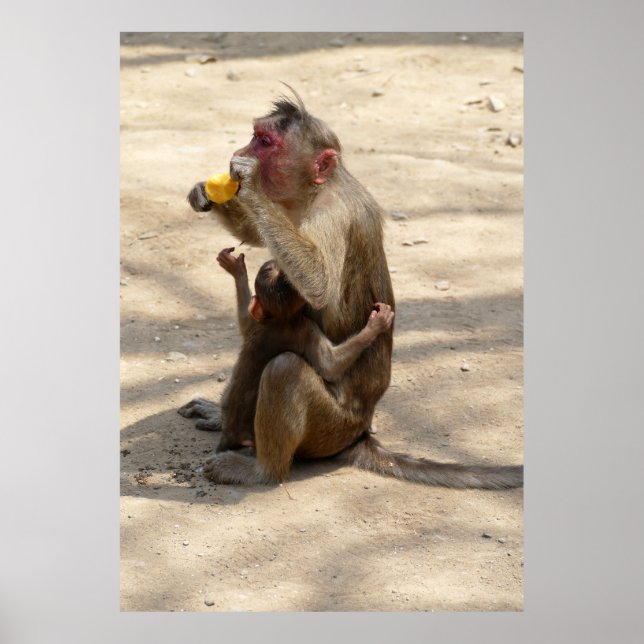 Affe - Ich wollte auch etwas Poster (Vorne)