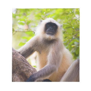 Affe im Dschungel des Ranthambore-Nationalparks Notizblock