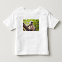 Affe im Dschungel des Ranthamborner Nationalparks