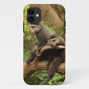 Affe iPhone 5 Case-Mate iPhone Hülle