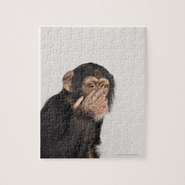 Affe keucht sich das Gesicht Puzzle (Vertikal)