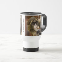 Affe Klettersteig Foto Personalisiert