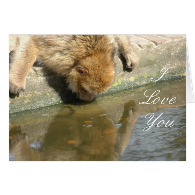 Affe Liebe (Vorderseite (Horizontal))