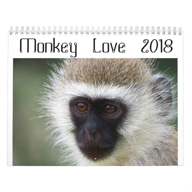 Affe-Liebe-Kalender 2018 Kalender (Titelbild)