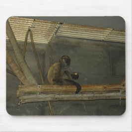 Affe Mousepad