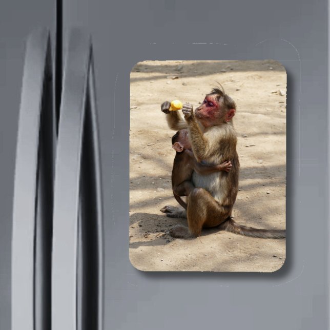 Affe - Mutterfrühstück Magnet (Von Creator hochgeladen)