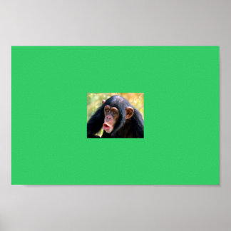 Affe Poster