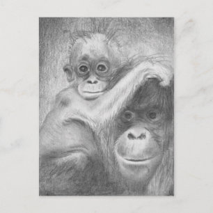 Affe Postkarte