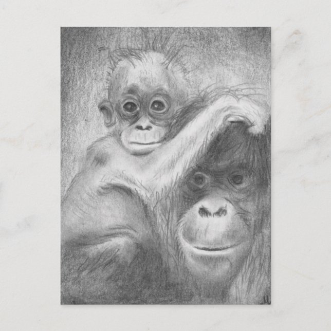 Affe Postkarte (Vorderseite)