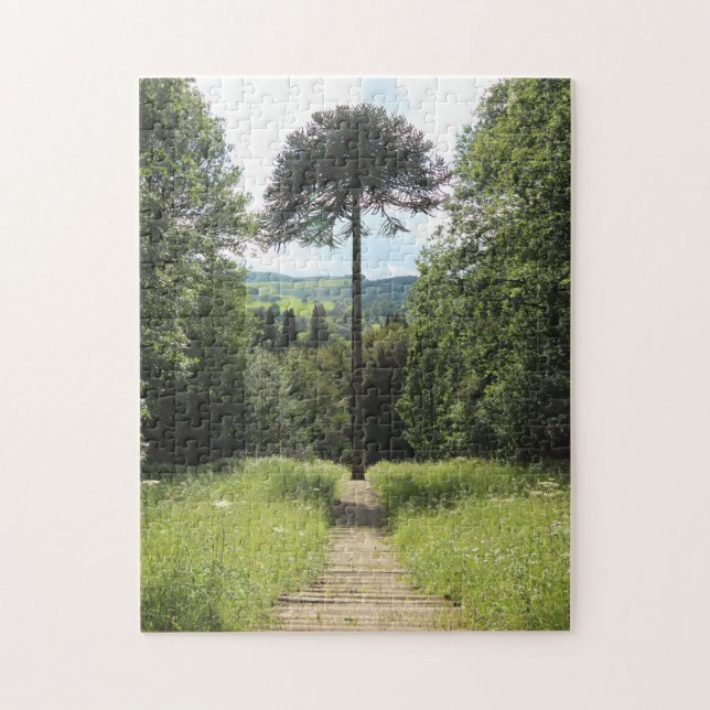 Affe-Puzzlespiel Puzzle (Vertikal)