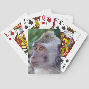 Affe Spielkarten