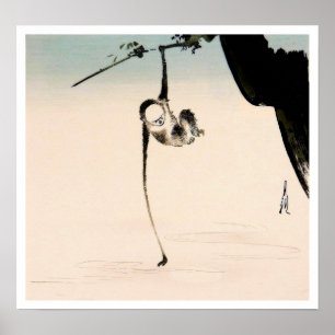 Affe und die Mond-Reflexion Poster