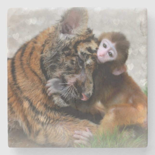 Affe und Tiger Steinuntersetzer (Vorderseite)