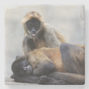 Affe Untersetzer
