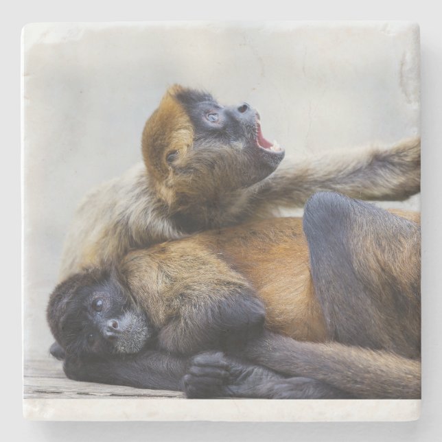 Affe Untersetzer (Vorderseite)