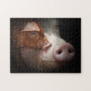 Affektionierte Schweine Zuchttiere Fotografie Puzzle